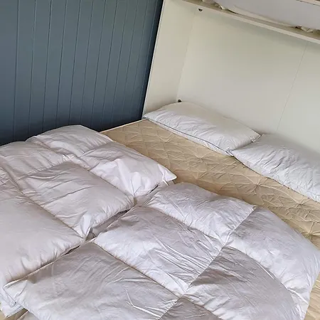 Dalsoren Camping Luster