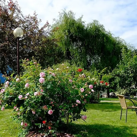 Camping Dalsoren Camping