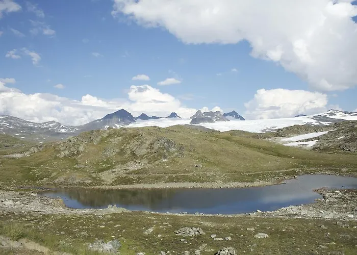 Dalsøren Og Campingplasser 2*