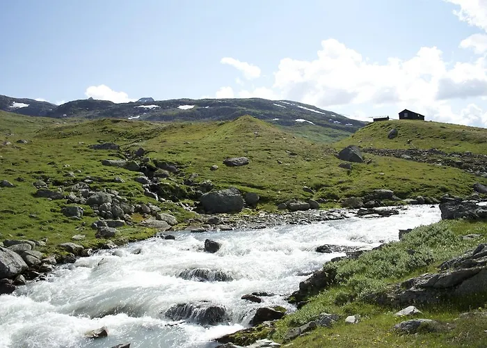 Dalsøren Og Campingplasser Luster