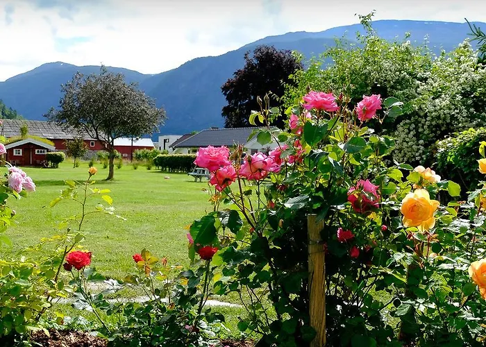 Campingplasser Dalsøren Og