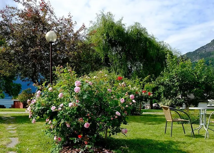 Campingplasser Dalsøren Og