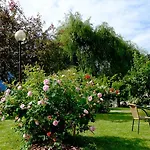 Camping Dalsoren Camping